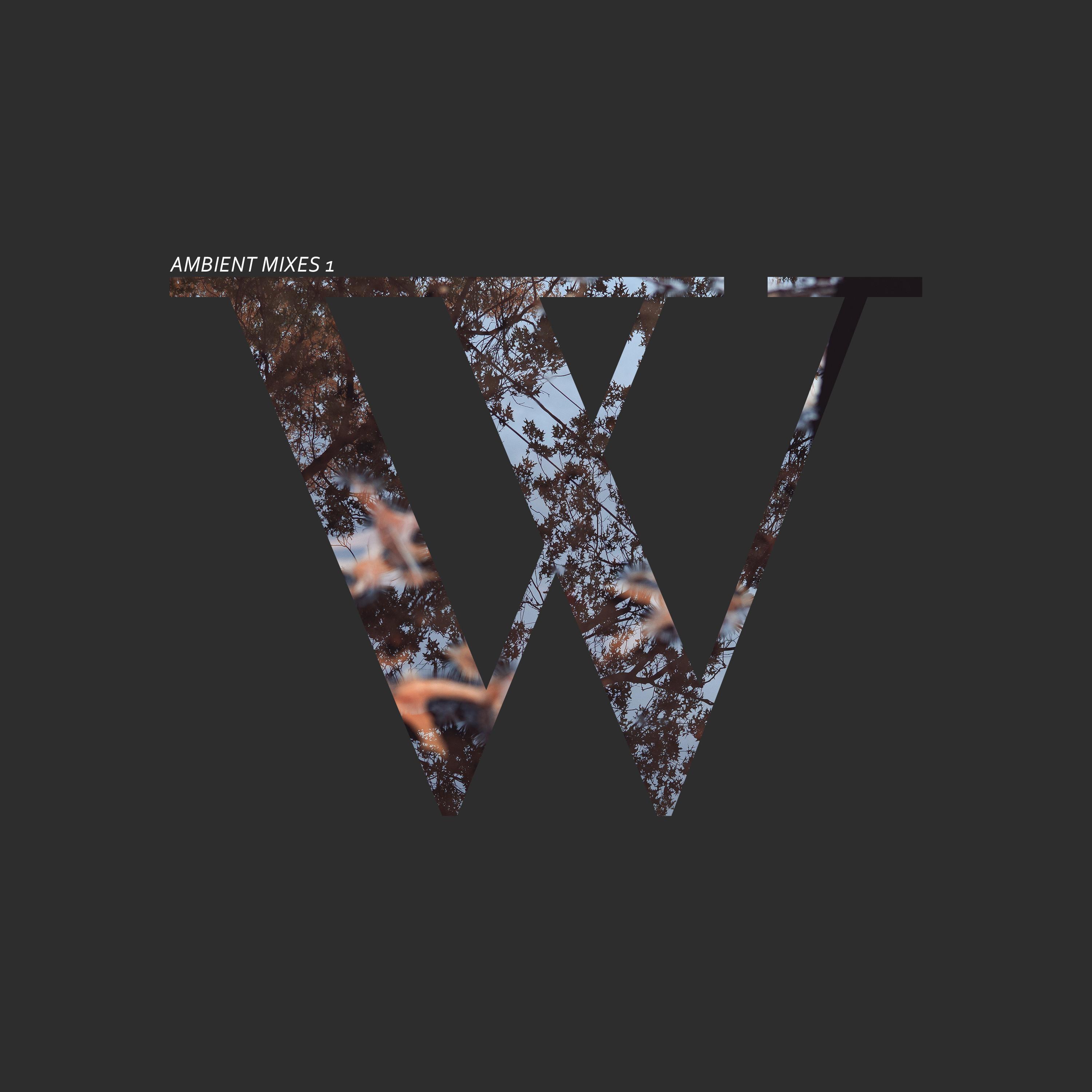 Ambient Mixes 1 (Ambient Mix)