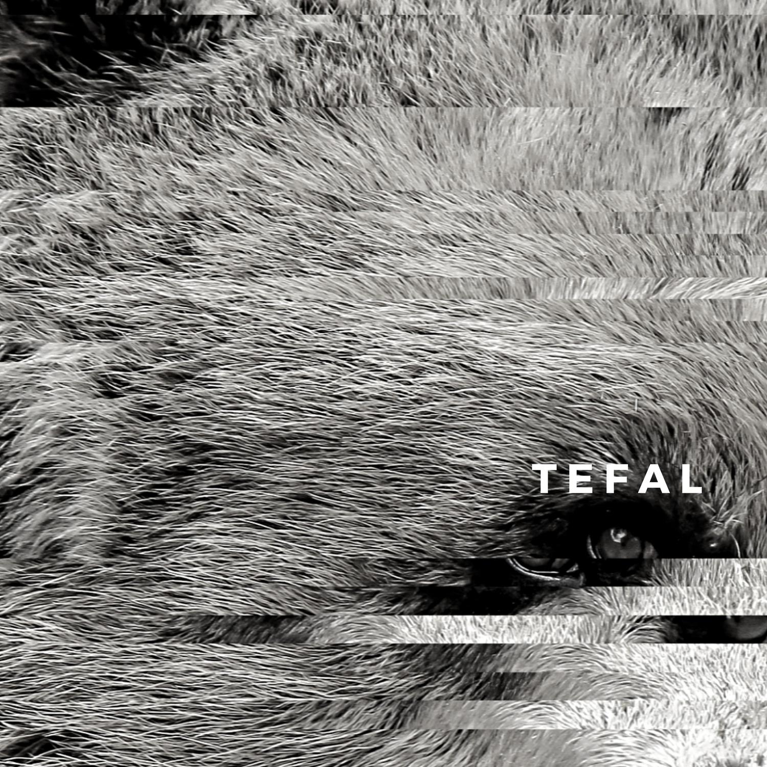 Tefal