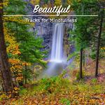 15 Beautiful Tracks for Mindfulness专辑