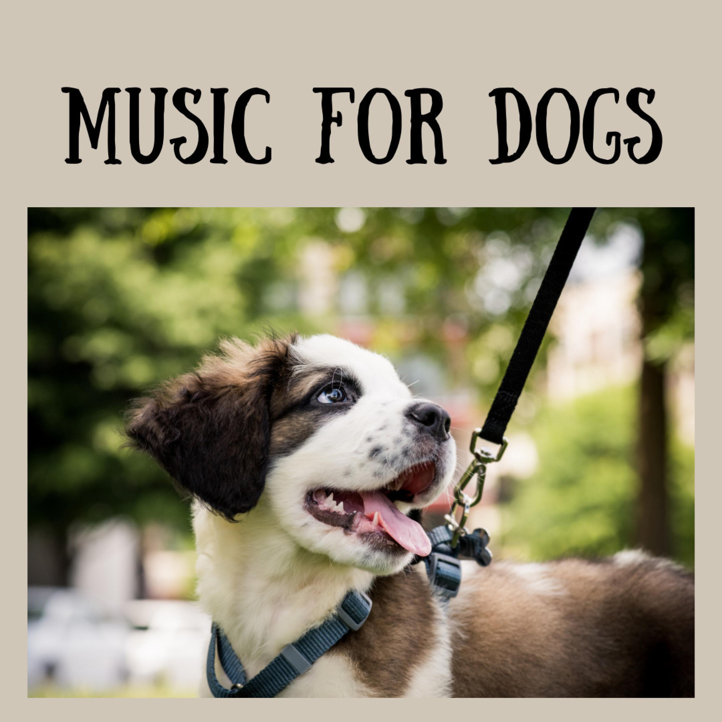 Deep in Thought - Music For Dogs/Music For Dogs Peace/Relaxing Puppy ...