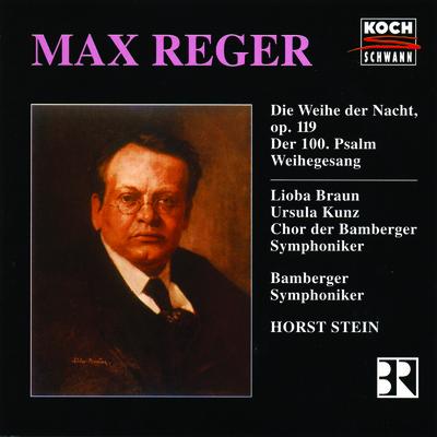 Max Reger Edition Vol. 2
