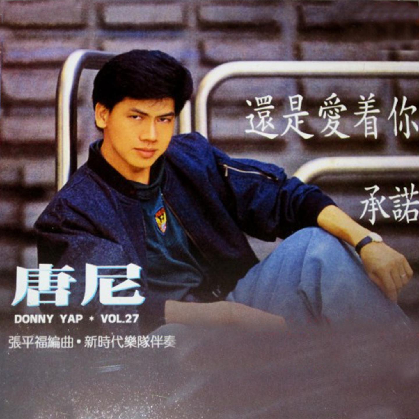 唐尼 第二十七集