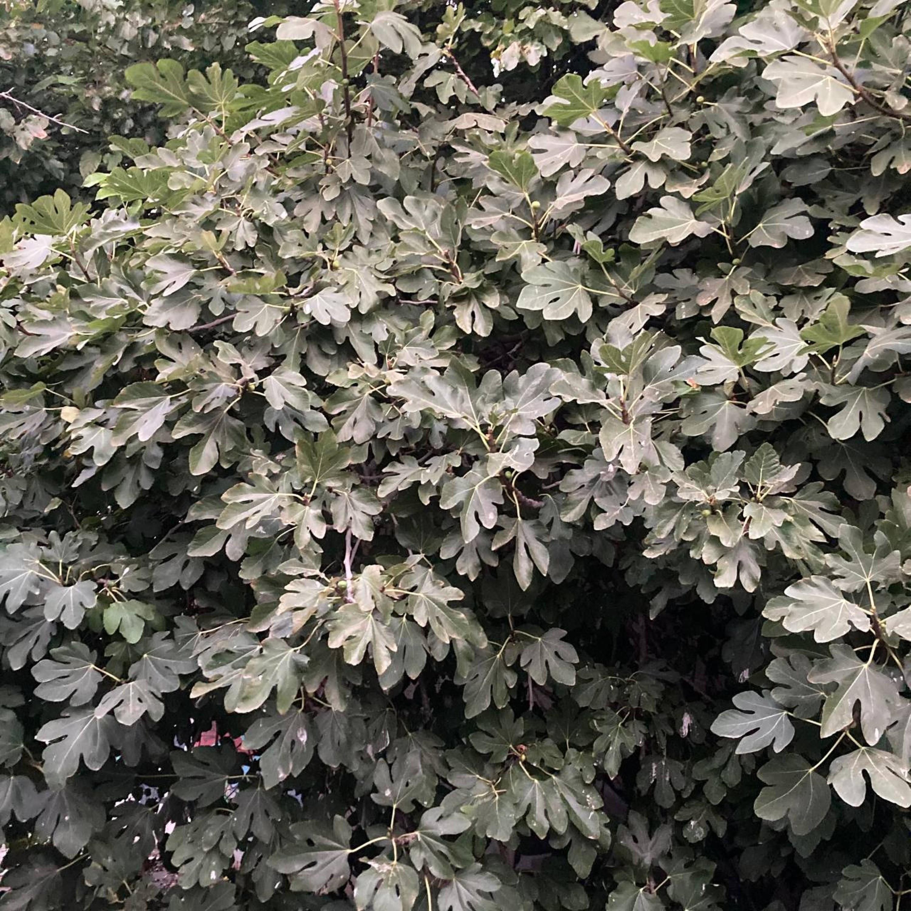 isolated (feat. Cane.)