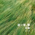 这一年，那几年