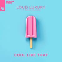Loud Luxury Ft. Bobby Shmurda X Genix - Cool Like Light's Camera Action (Charlie Lane Mash Up) (Intro Clean) 126