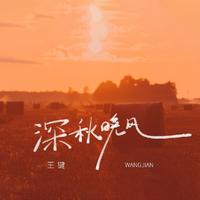 王键 - 深秋晚风 (DJ九零版)