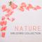 Nature Melodies Collection专辑