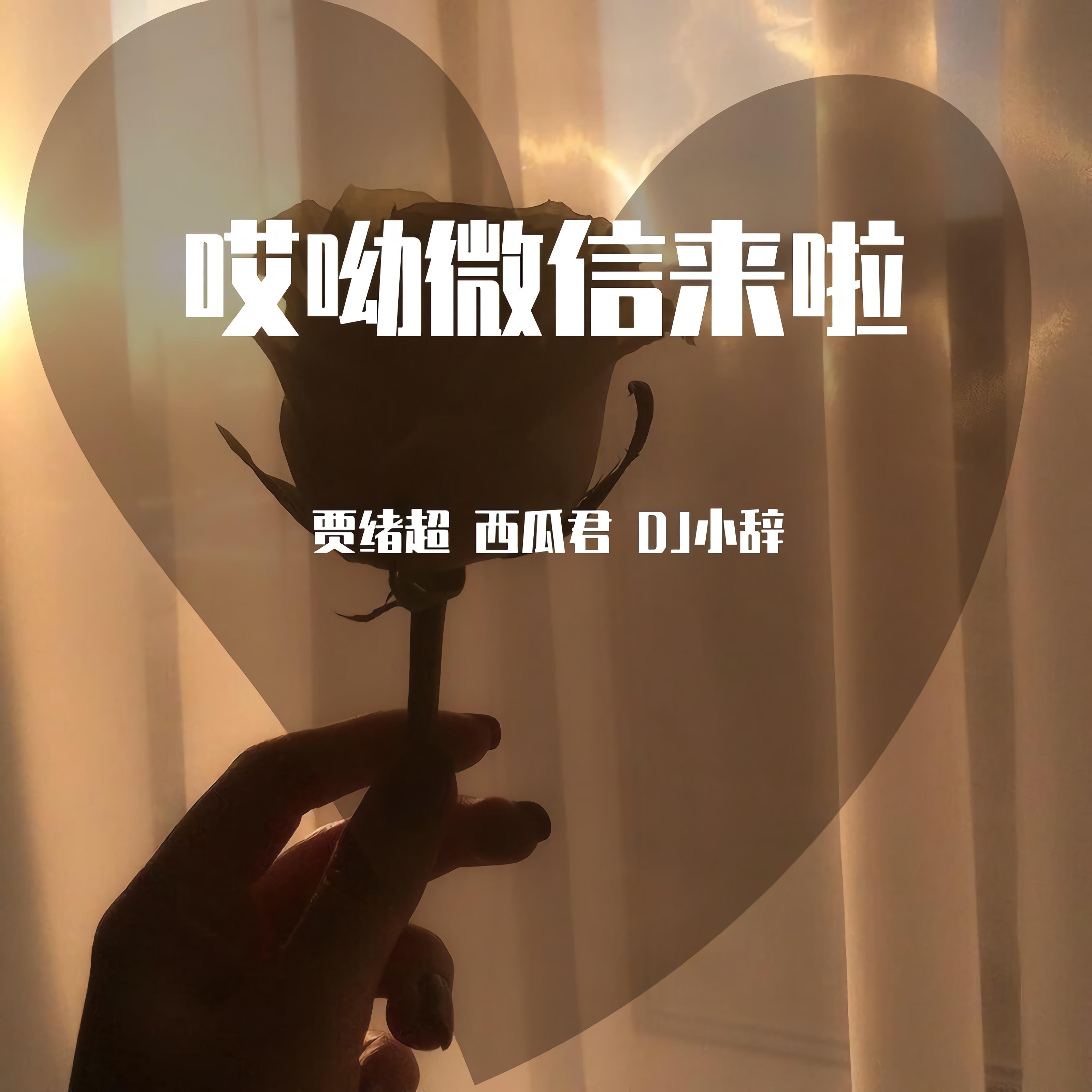 哎呦微信来啦