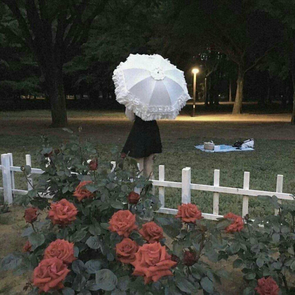 法式复古少女的奇妙花园、
