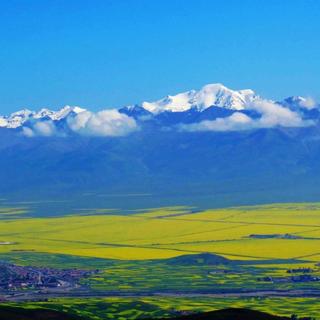 【青海青 黄河黄】那儿就是诗和远方