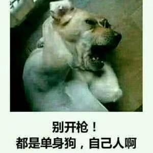 清风拂杨柳，段友处处有。