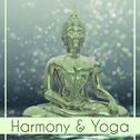 Harmony & Yoga – Meditation Music, Zen, Training Yoga, Peaceful Music for Relief, Clear Mind, Calmne专辑