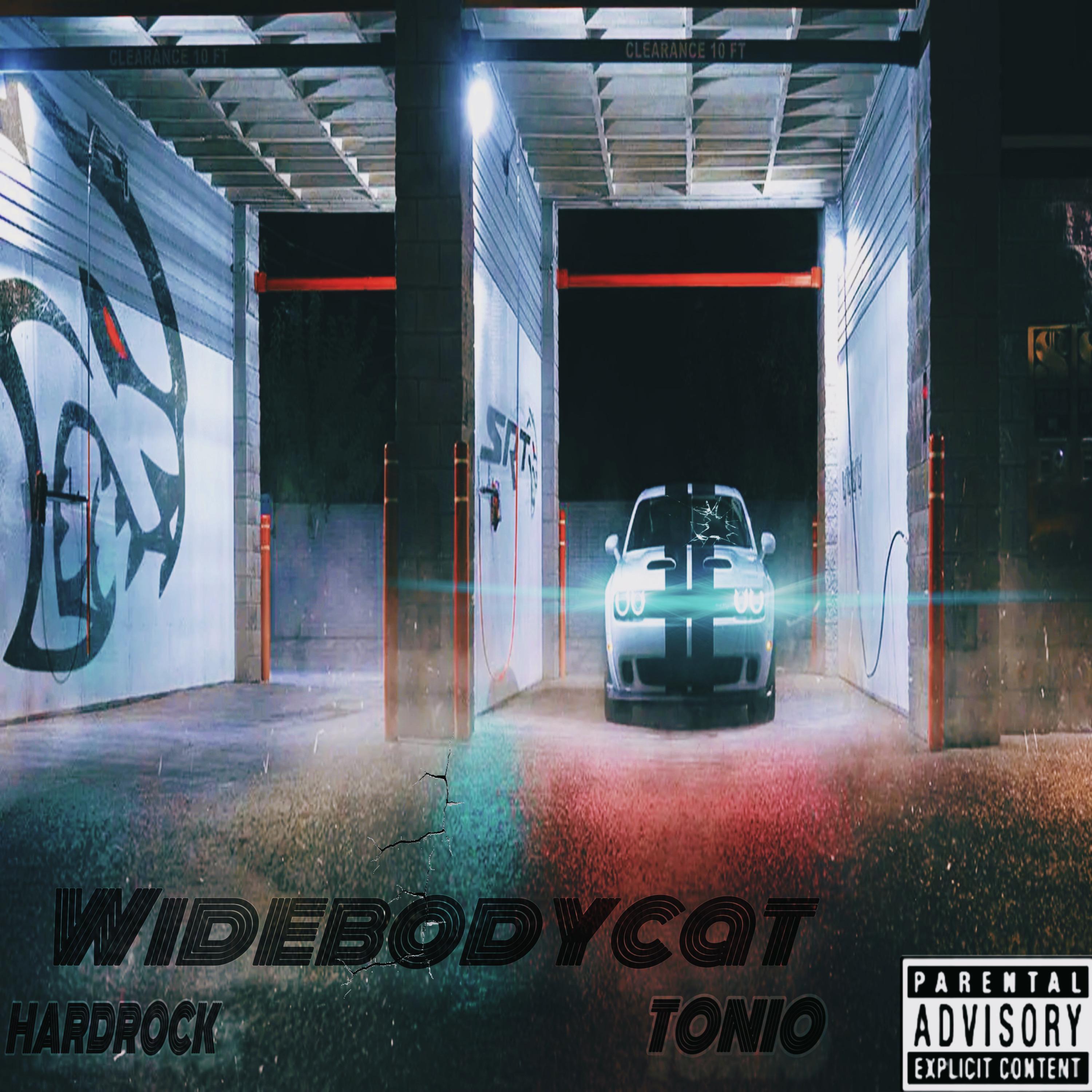 WIDEBODYCAT (feat. Hardrock)