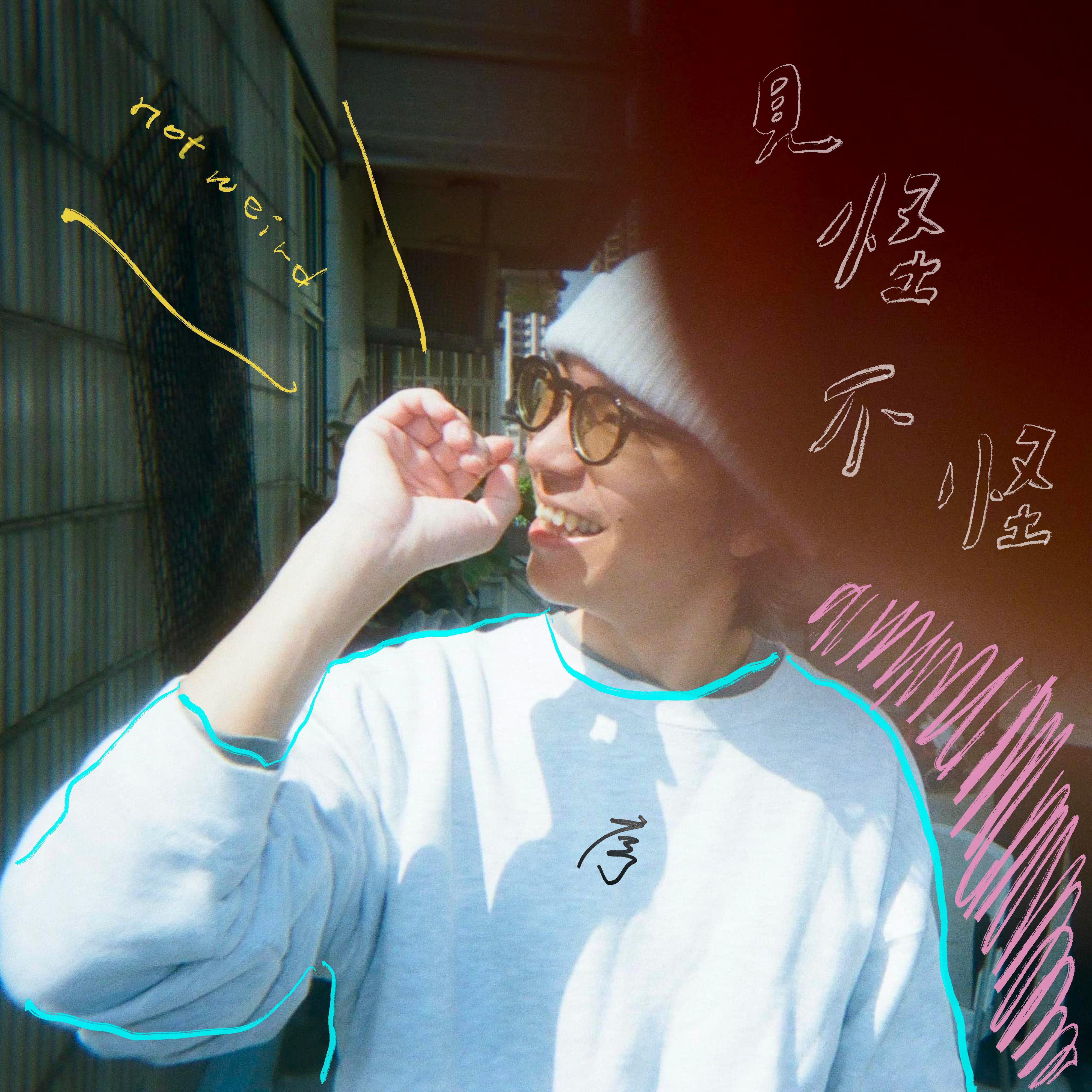见怪不怪专辑