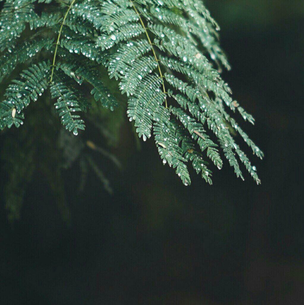 [学习御用]纯雨声.白噪音