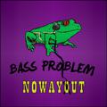 Bass Problem