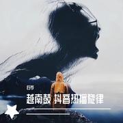 抖音热播旋律（越南鼓 ）