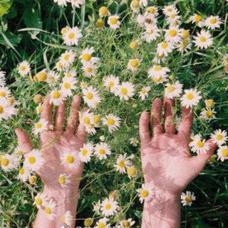 【高考战歌】——我要这天遮不住我的眼