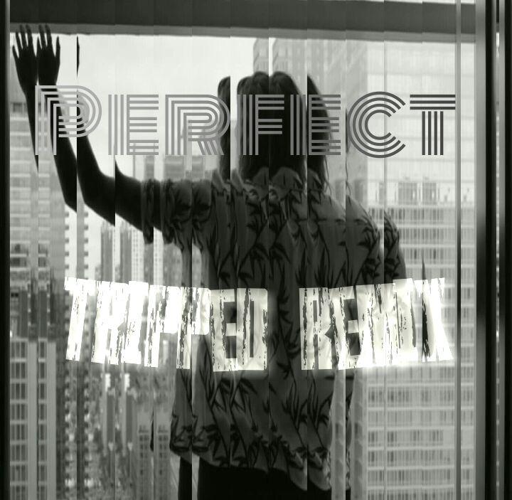 Perfect（Tripped Remix）专辑