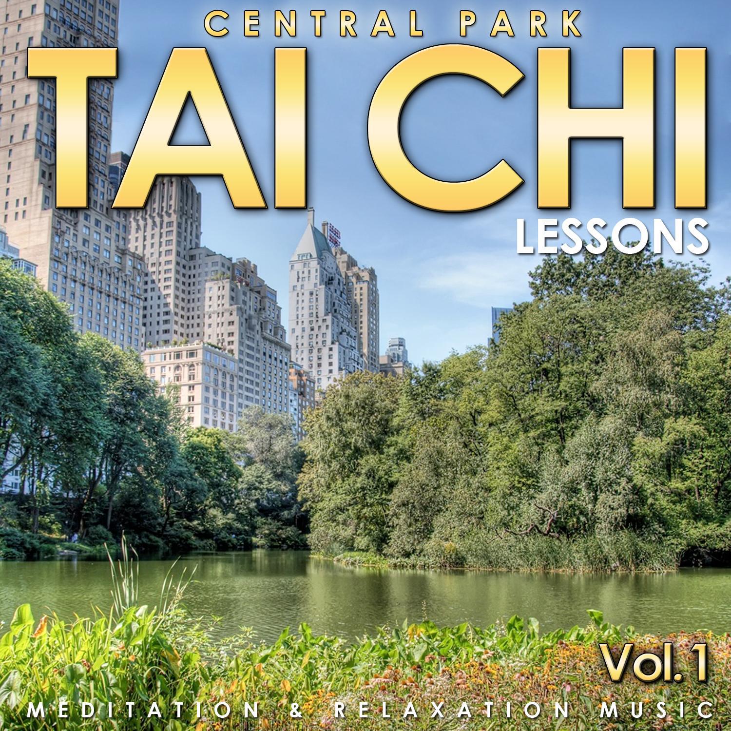 Central Park. Tai Chi Lesson. Meditation and Relaxation Music. Vol. 1专辑