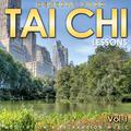 Central Park. Tai Chi Lesson. Meditation and Relaxation Music. Vol. 1