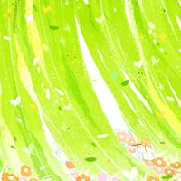 【高质量轻音】沉浸自然 享受春和景明