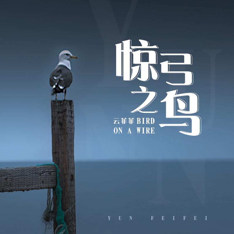 惊弓之鸟