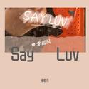 Say Luv