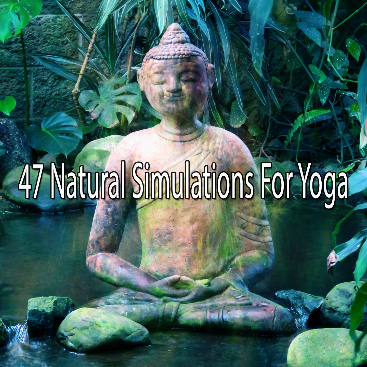 47 Natural Simulations For Yoga专辑