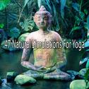 47 Natural Simulations For Yoga专辑