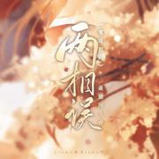 两相误 —— 《魔道祖师》聂瑶同人曲