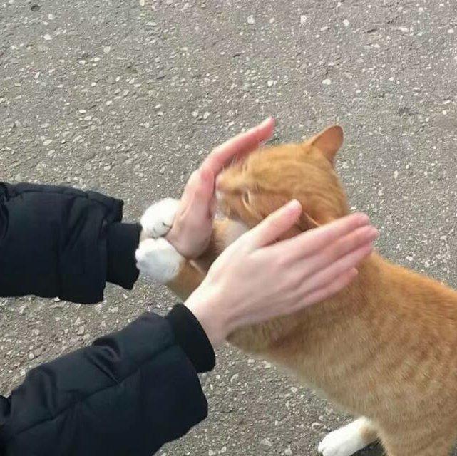 如果爱忘了