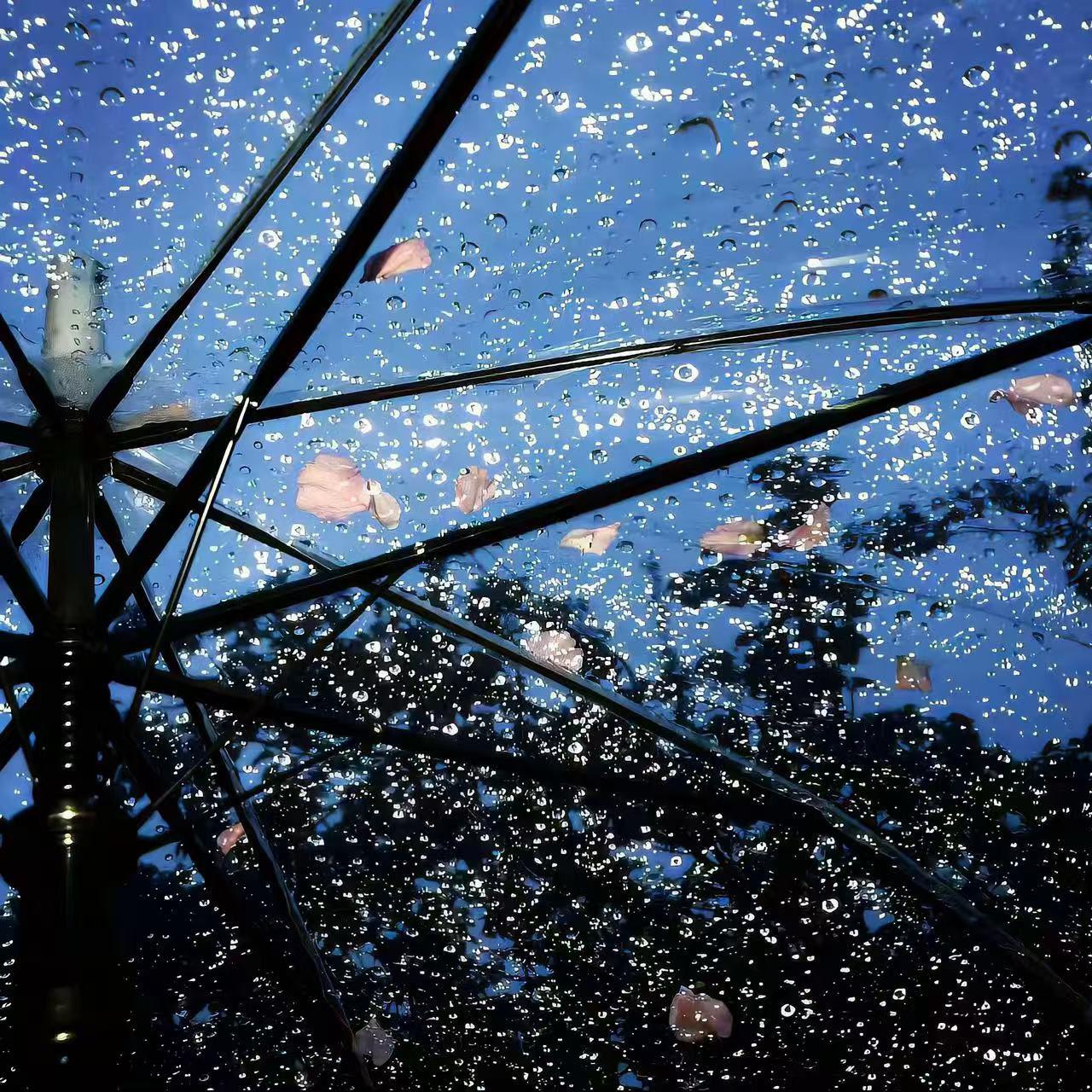 YUT雨天