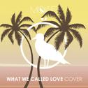  What We Called Love (MÖWE Cover) 专辑