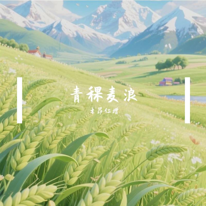 青稞麦浪