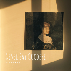 Never Say Goodbye (伴奏)