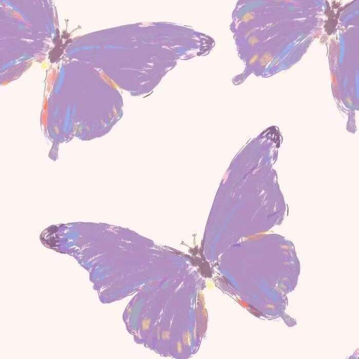 missingdisapear - butterfly.