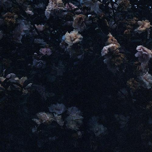 doubts (remake)