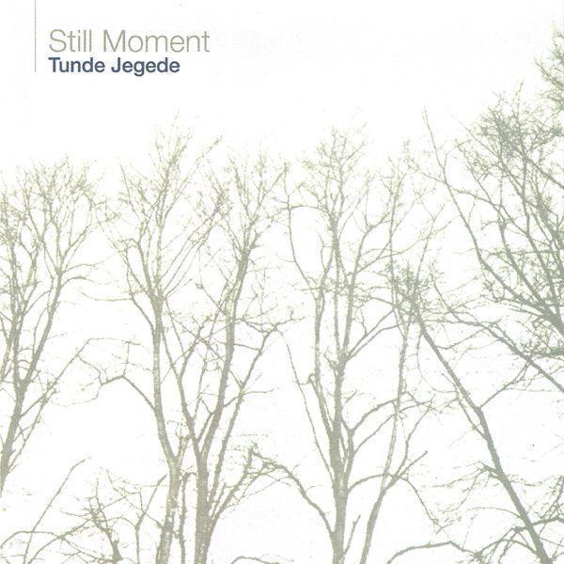 Still Moment