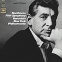 Beethoven: Symphony No. 5 in C Minor, Op. 67 - Bernstein talks "How a Great Smphony was Written" (Re专辑