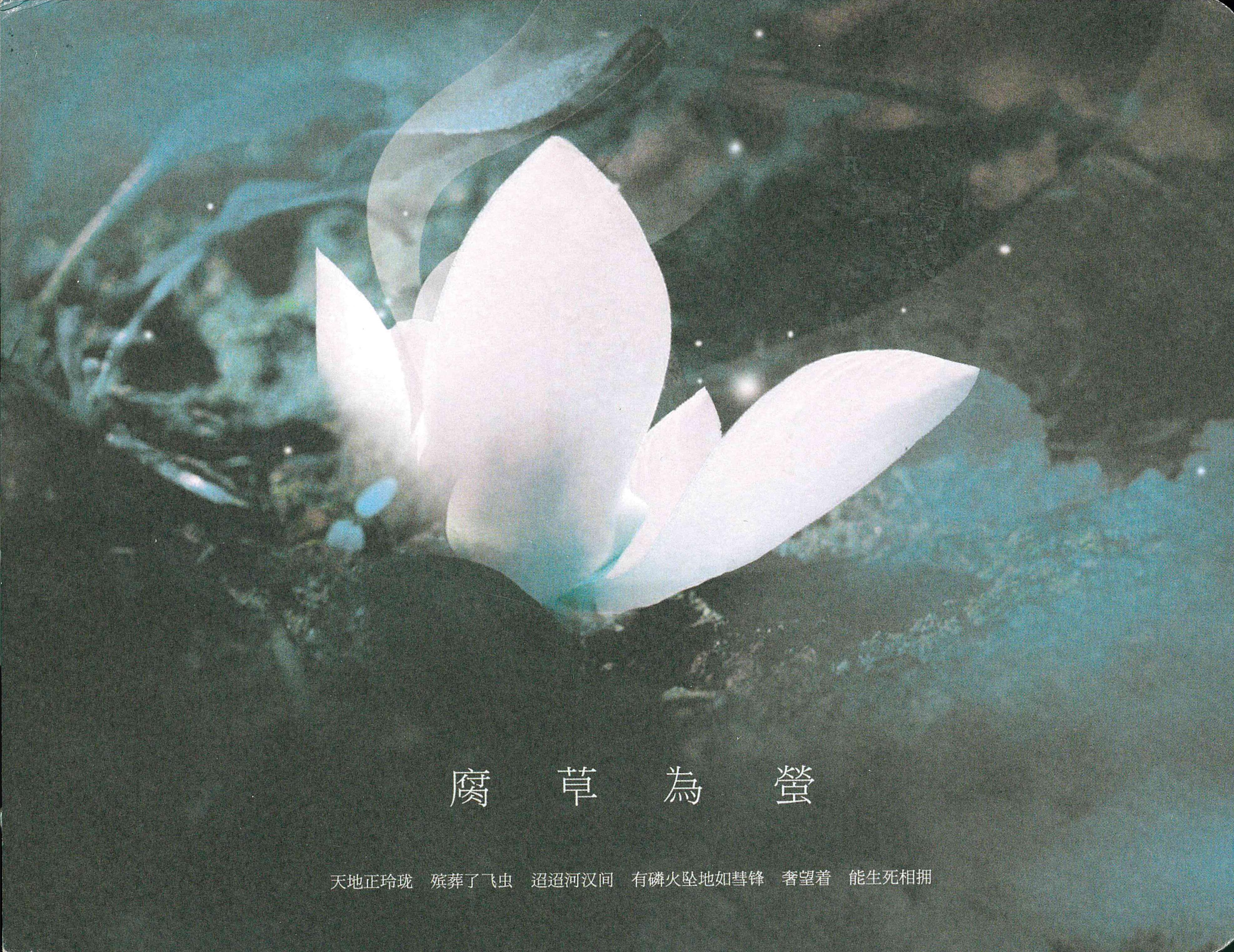腐草为萤