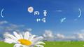 风夏专辑