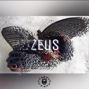 ZEUS