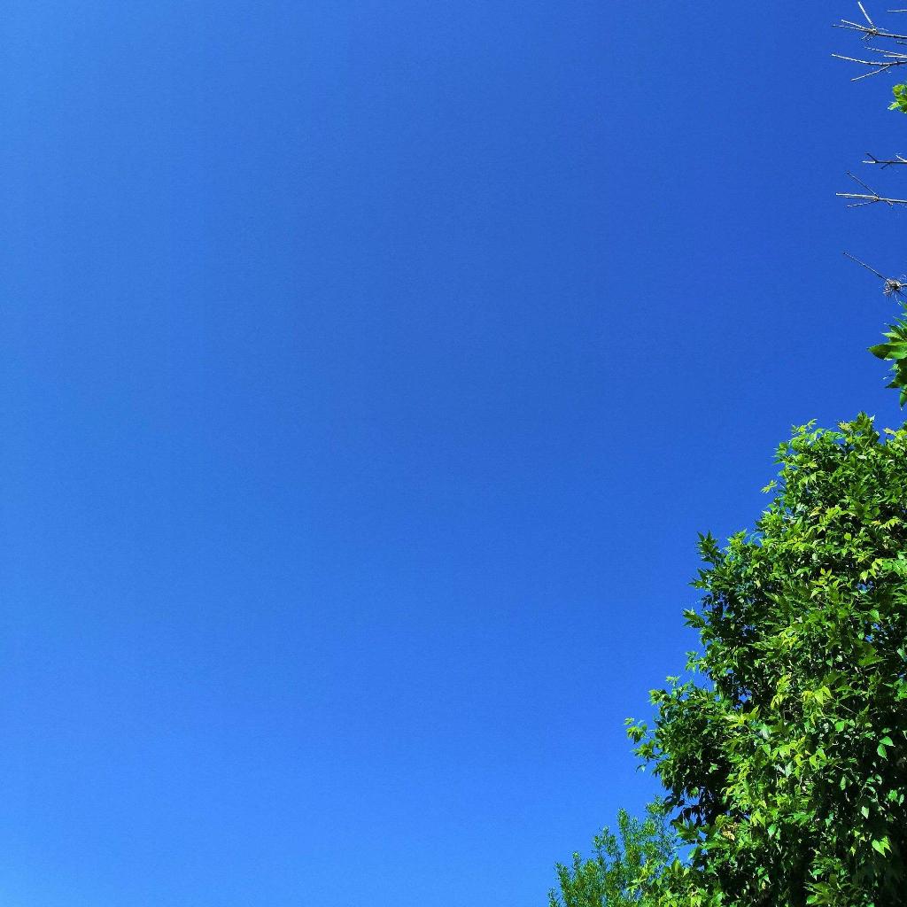 解压纯音：清旋淡律撩拨你的心弦 | 在线播放 | 网易云音乐