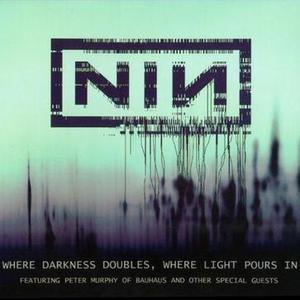 Nine Inch Nails (Lost Highway) - The Perfect Drug (Karaoke Version) 带和声伴奏 （升3半音）