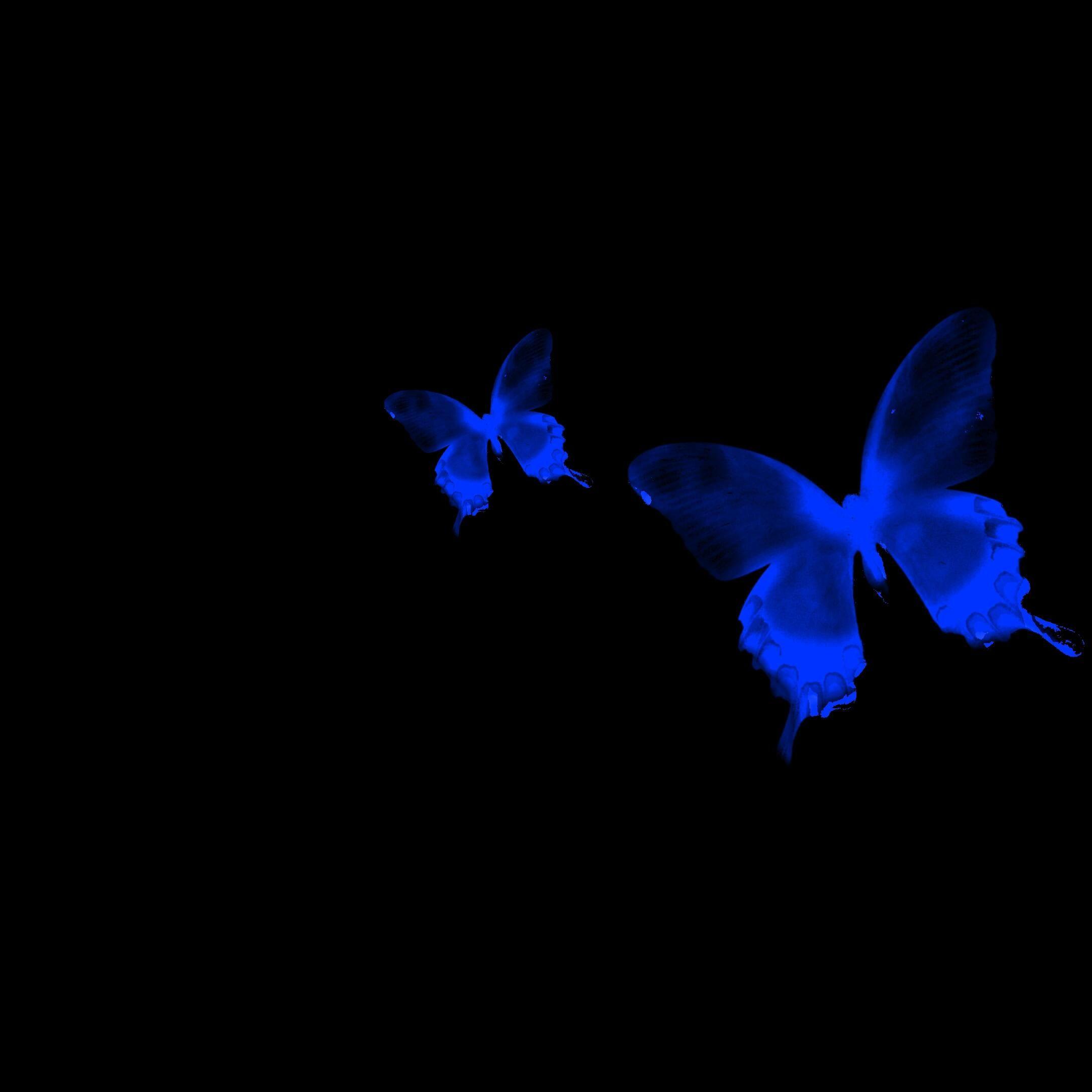 我们走到这里刚刚好