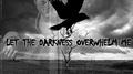 LET THE DARKNESS OVERWHELM ME专辑