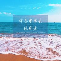 浪羊羊 - 你总要学会往前走 （原版伴奏）