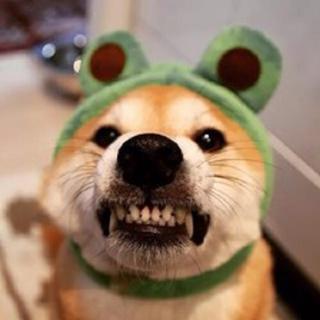 《        搞      笑        》
