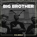Big Brother ( 2008 )专辑